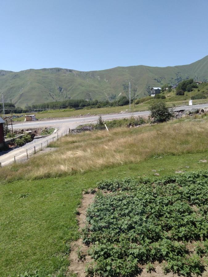 Family Hotel Mtamta 古多里 外观 照片